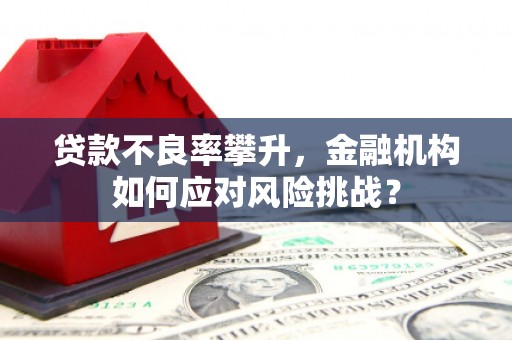 梅河口贷款不良率攀升，金融机构如何应对风险挑战？