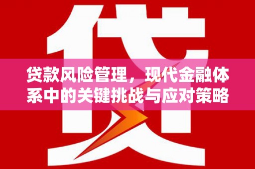 梅河口贷款风险管理，现代金融体系中的关键挑战与应对策略