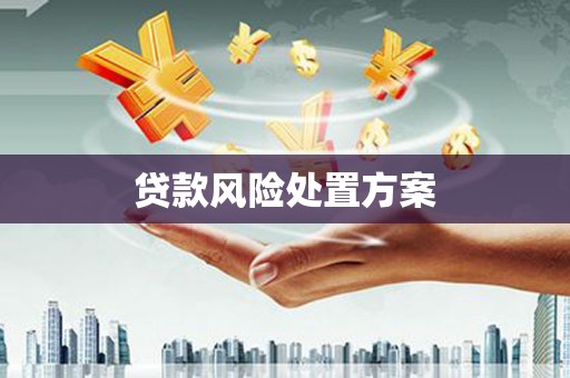 梅河口贷款风险处置方案