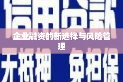 梅河口企业融资的新选择与风险管理