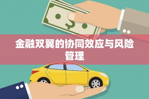 梅河口金融双翼的协同效应与风险管理